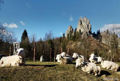 Овцы отдыхают на фоне скал Тустани